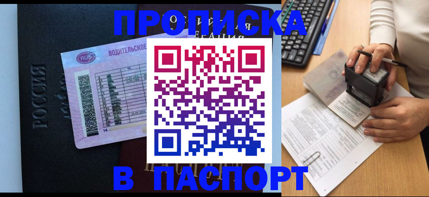 пропишу в квартире в Курской области
